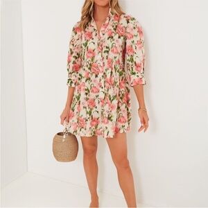 Tuckernuck Lindsay Blush Ikat Blooms Mini Dress